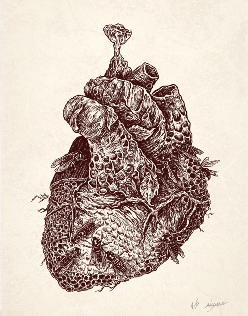 hive_Letterpress_sm